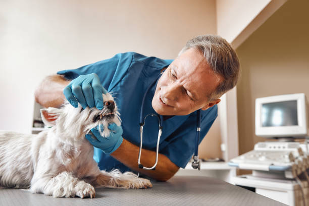 Best Emergency Broken Tooth Repair in Monticello, KY